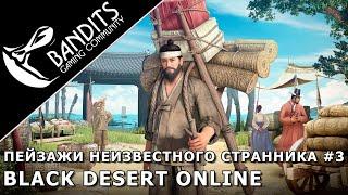 Прохождение дневника Пейзажи Неизвестного Странника "Глава 3" в Black Desert Online