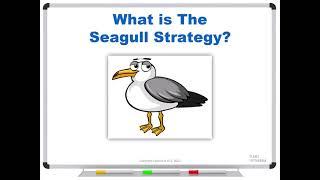 What is The Seagull Strategy?