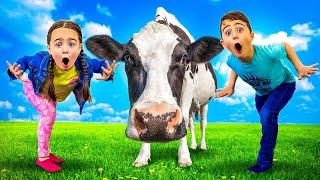 Matteo and Gabriella Video Compilation About Animals on the Farm @DeeDeeShow