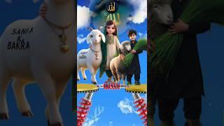 sabko Bakra Eid kurbani#funny #shorts #viralvideo #shortvideo #song ️️️️