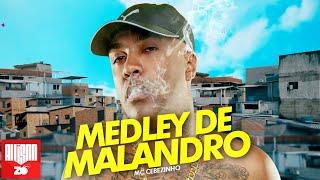 MC Cebezinho - Medley de Malandro 1.0 (DJ Serpinha)