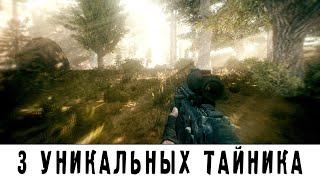 3 УНИКАЛЬНЫХ ТАЙНИКА в STALKER Anomaly