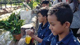 Kebun Binatang Surabaya Taman Satwa