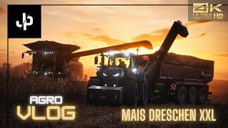 Mais Dreschen auf 16 Reihen! Schwarzer Fendt 1050 von M&H Agrar || Agrovlog - JP Agrar