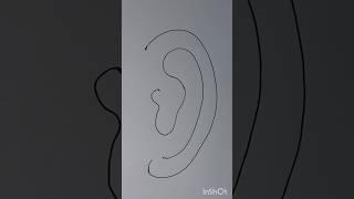 How To Draw A Human Ear 