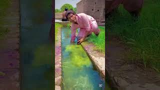 My village flower beautiful view #shorts #shortvideo #youtubeshorts #trending #viralvideo #nature