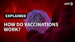 How do vaccines work? | AFP