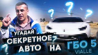 Все про ГБО 5-6 VIALLE  на авто LADA(Лада). Отличия ГБО- 4 от ГБО 5 -6 -7 Цены, сроки установки.