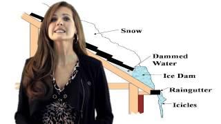 ReMax Better Living TV - Ice Dam Removal with the Ice Dam Guys