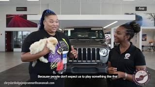 Interview with Coffee & Cream for Jeep Homeland Grand Opening Powered by Step One Automotive Group