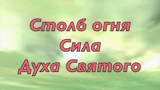 Жизнь борьба света с тьмой.