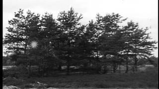 Postwar field Testing of German Armor, by Allies, 1945 HD Stock Footage