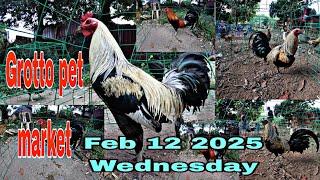 Grotto pet market , Feb 12 2025 Wednesday .