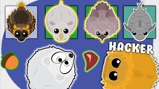 I AM A "HACKER" !? MOPE.IO