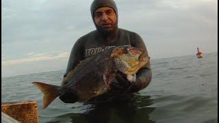 Pescasub : Grosso Dentice a Santa Marinella - Claudio Basili
