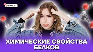 Химические свойства белков | Химия ЕГЭ 10 класс | Умскул