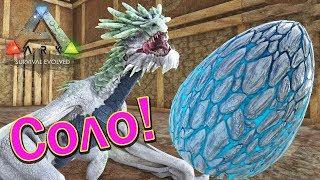 ARK Survival Evolved на карте Ragnarok - Яйцо Ледяной Виверны и Детёныш - (21)