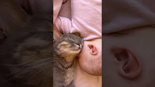 Дети и животные #смешныевидео #лучшиеприколы #moments #momlife #lifestyle #животные #кошки