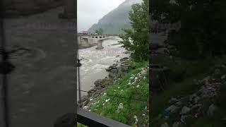 ️#shorts #youtubeshorts #Mahek Shaikh (I Love Nature)