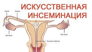 Искусственная инсеминация / Доктор Черепанов