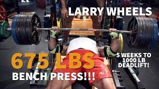 675LBS/307KG BENCH PRESS PR