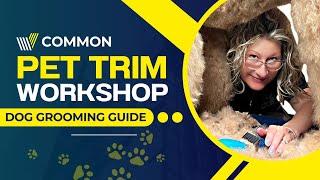 Guide to master the most Common Dog Grooming Pet Trim!