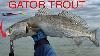 Winter Wade fishing for GATOR Speckled Trout in Baffin Bay Texas