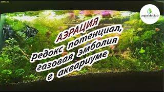 Аэрация, Редокс потенциал в аквариуме.