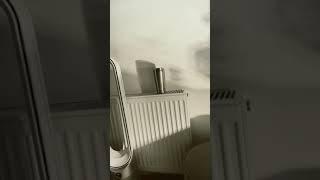 Dildo