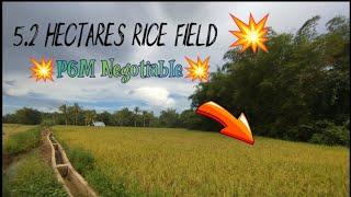 5.2 Hectares Rice Field In Dagami Leyte FOR SALE @ P4M (FIX) 2024