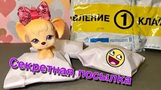 LPS / Секретная посылка с Авито Lps Стоячка мечты?