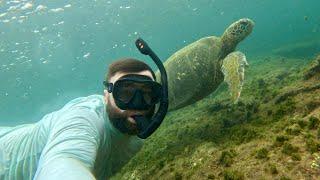 Galapagos Islands, Ecuador Jordan Noel