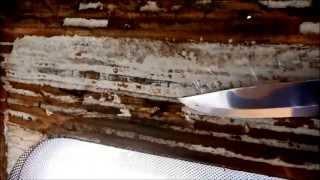 How to Repair major damp in your Motorhome/Camper van