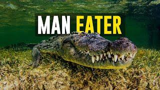 Gustave - The world’s most deadly crocodile