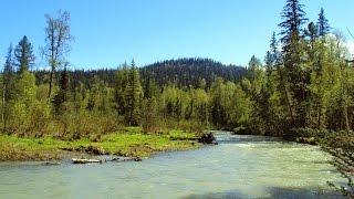 Путь в Шалтырскую долину (Кузнецкий Алатау, тайга, река, Кийский Шалтырь, отдых, туризм, изба)