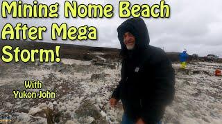 Nome, Alaska Beach Mining After A Super Storm!