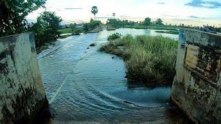 Remove Floating Plants Clogged Massive Dam Drain Water