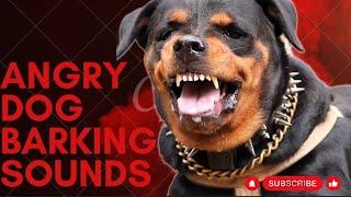 Epic Dog Barking Compilation: See How Your Dogs REACTS and Can't Resist!