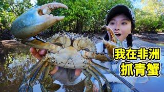 在非洲抓青蟹，挖洞2米掏6斤大螃蟹，一锅水煮滋味鲜！| 赶海 | 螃蟹 | 海鲜 | 红树林 | 非洲 |