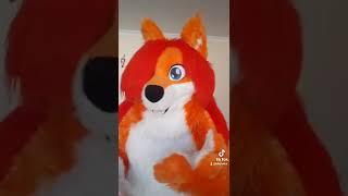 Vore Furs be like #3