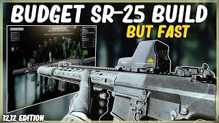 BUDGET SR-25 BUILD BUT FAST - EFT ESCAPE FROM TARKOV - HIGH ERGO LOW RECOIL CHEAP 7.62X51 - 12.12