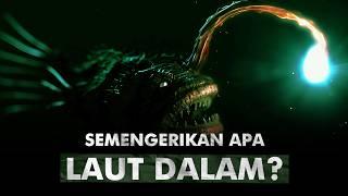 Mengungkap Misteri Laut Dalam | Midnight Zone