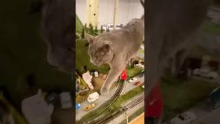 Catzilla Vs. HO Model Train Layout #hoscaletrains #modelrailway #modeltrain