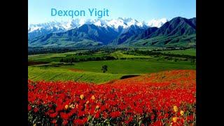 Dexqon Yigit's broadcast