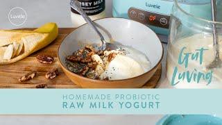 Homemade PROBIOTIC RAW MILK YOGURT