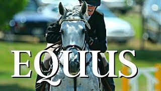 Discover EQUUS: An Upscale Equestrian Paradise in Boynton Beach, Florida #luxuryhomes