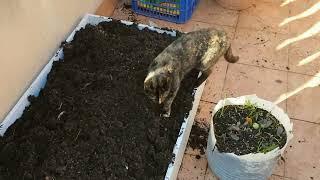 Подготовка земли для посадки от Мария Любит Хуана. Удобряем почву своими руками #земля#выращивание