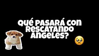 DEJO YOUTUBE? RESCATANDO ANGELES??