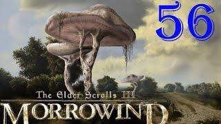 [56] TES III Morrowind  [Fullrest Repack v.1,4] Божественная болезнь