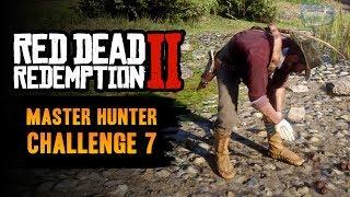 Red Dead Redemption 2 Master Hunter Challenge #7 Guide - Use bait to kill a predator and herbivore